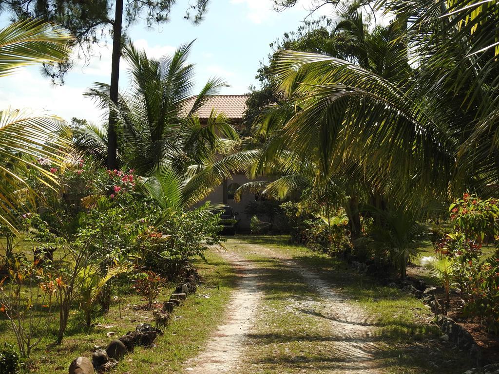 Becks Bed & Breakfast Crooked Tree Экстерьер фото