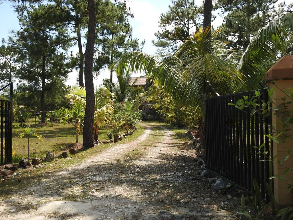 Becks Bed & Breakfast Crooked Tree Экстерьер фото