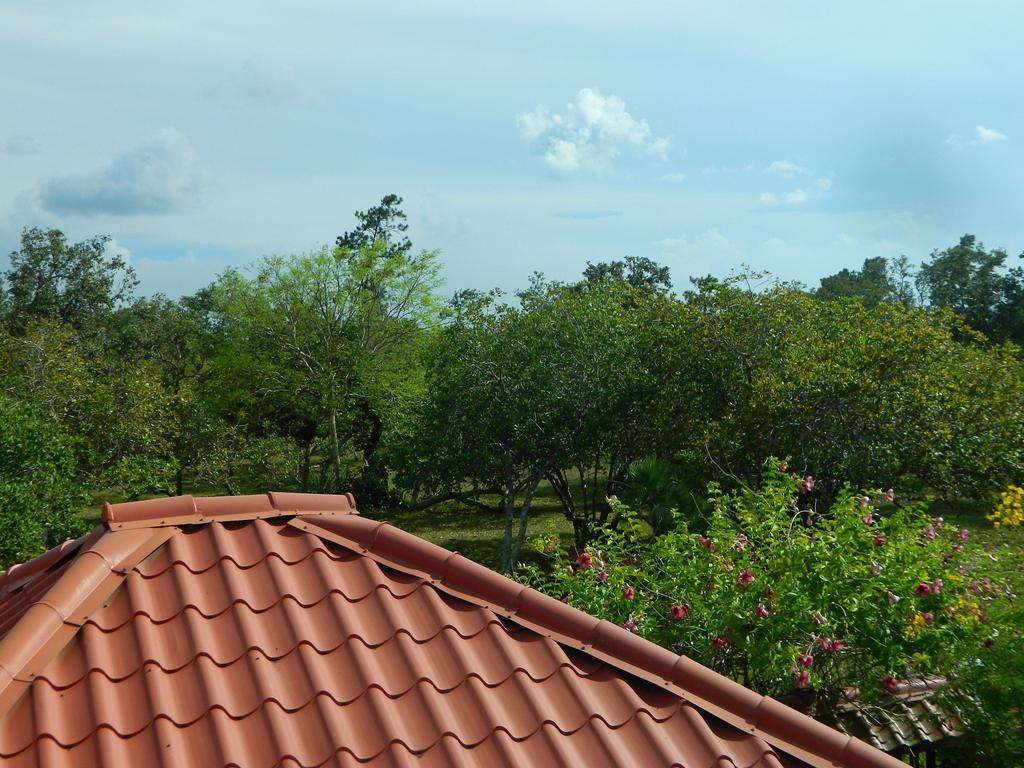 Becks Bed & Breakfast Crooked Tree Экстерьер фото