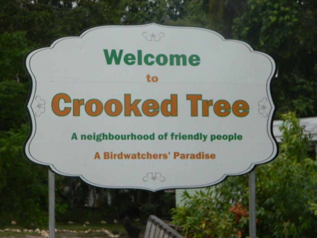 Becks Bed & Breakfast Crooked Tree Экстерьер фото